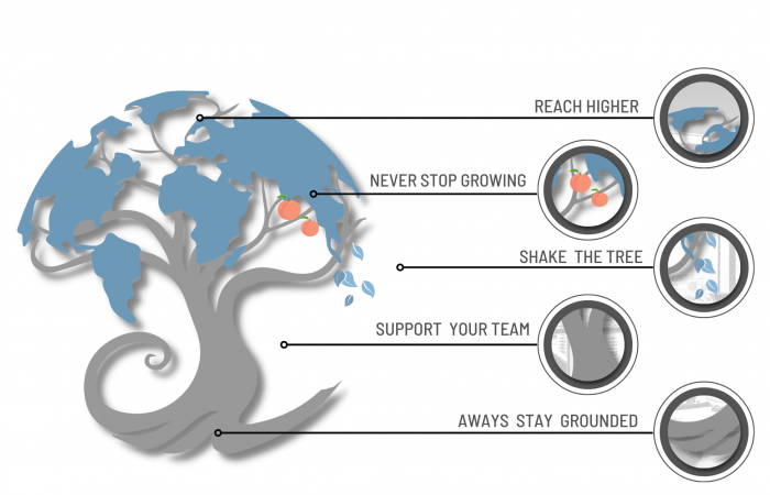 Infographic depicting what the tree in CKH logo represents the company core values