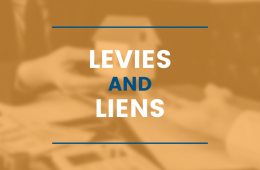 Graphic stating Levies and Liens