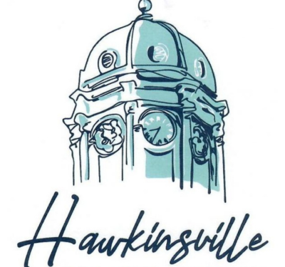 Hawkinsville Pulaski county logo Hawkinsville Pulaski county logo