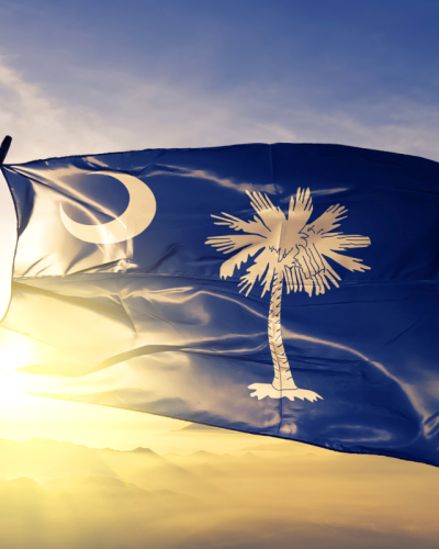 South Carolina South Carolina flag SCCOGS