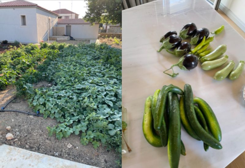 harry garden growth in retirement