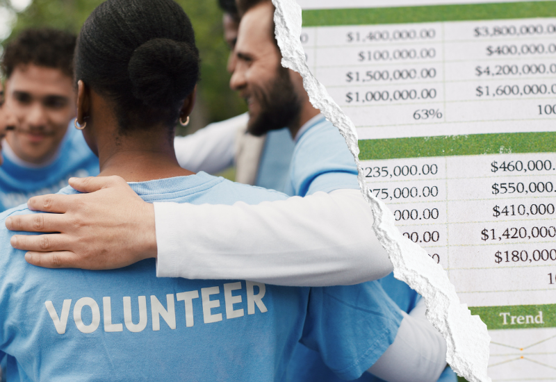 georgia nonprofit audit